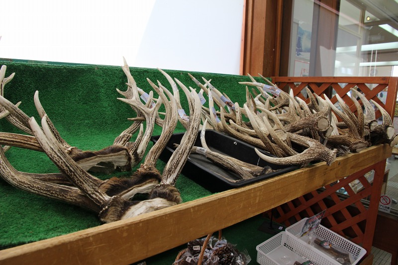 ファイル 202-4.jpg