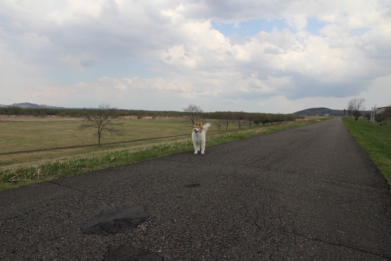 ファイル 203-1.jpg