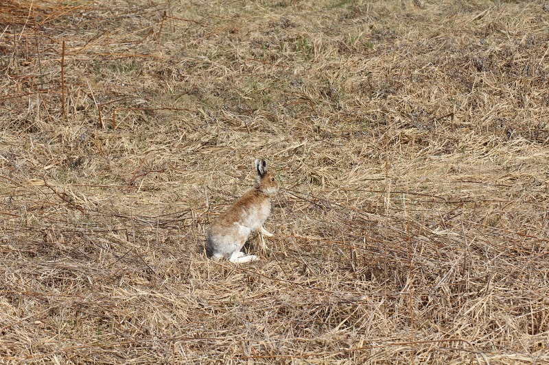 ファイル 203-2.jpg