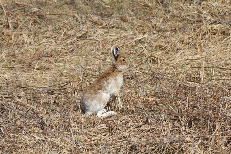 ファイル 203-3.jpg