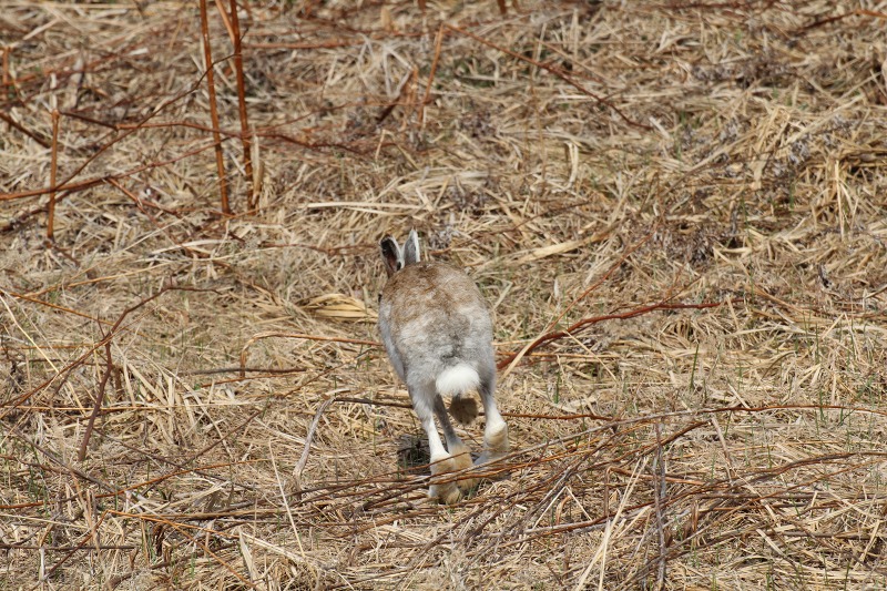 ファイル 203-4.jpg