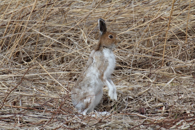 ファイル 203-5.jpg