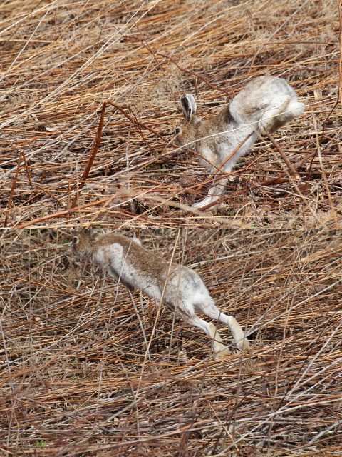 ファイル 203-6.jpg