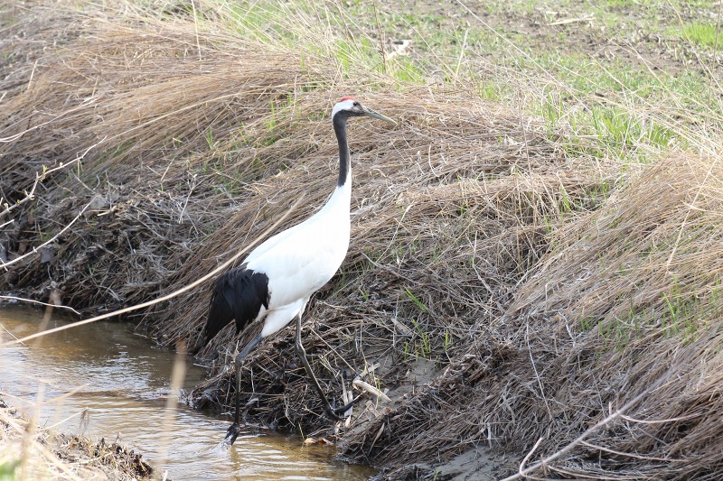 ファイル 203-8.jpg