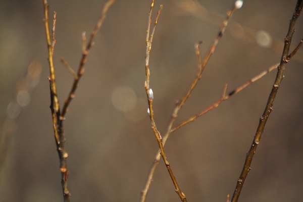 ファイル 22-8.jpg