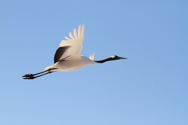 ファイル 24-9.jpg