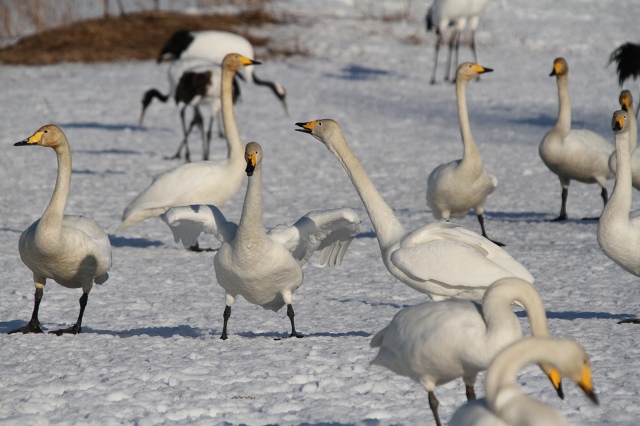 ファイル 27-4.jpg