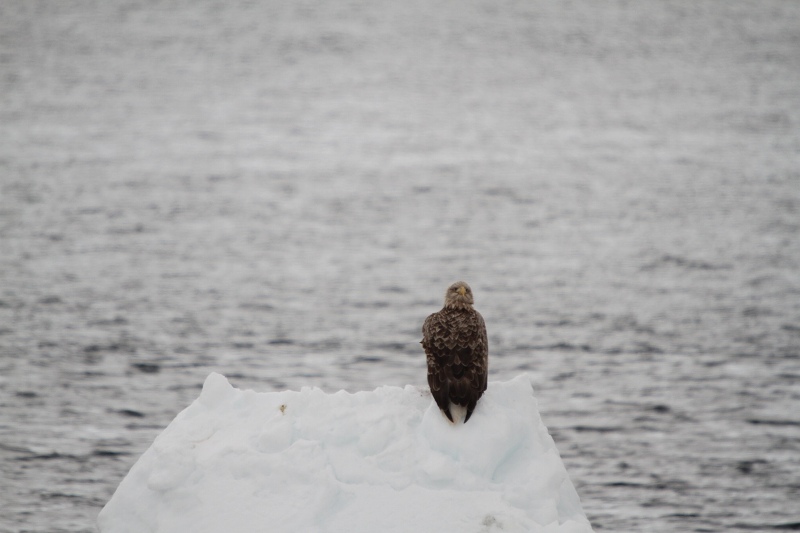 ファイル 31-4.jpg