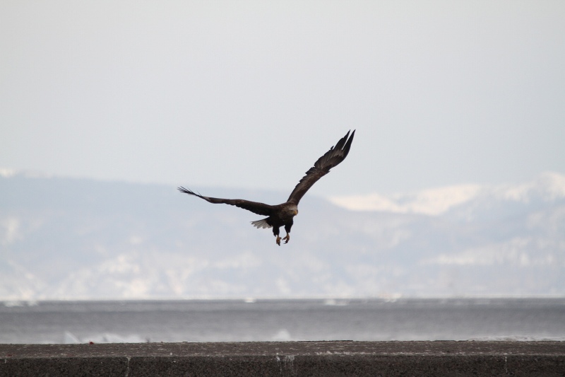 ファイル 32-9.jpg