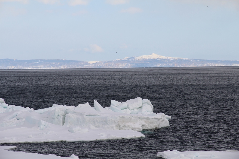 ファイル 41-1.jpg