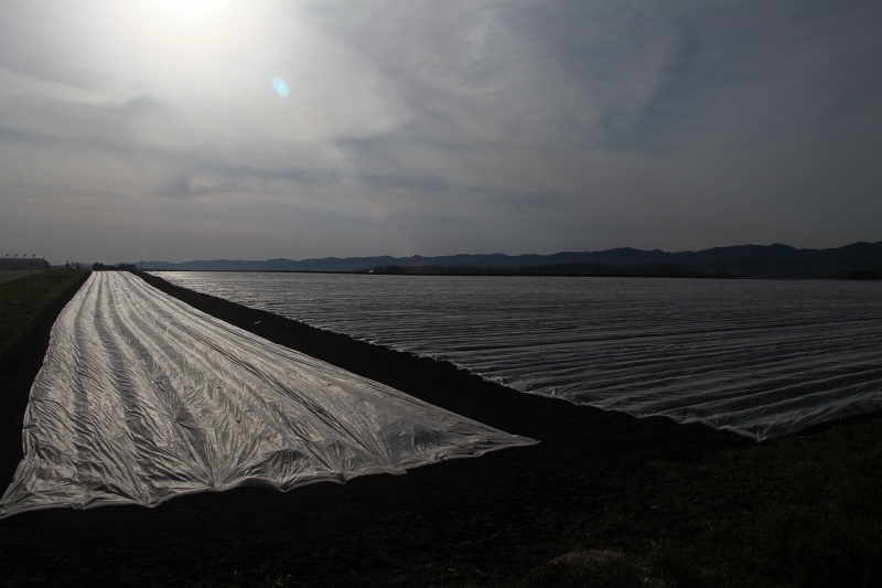 ファイル 65-2.jpg