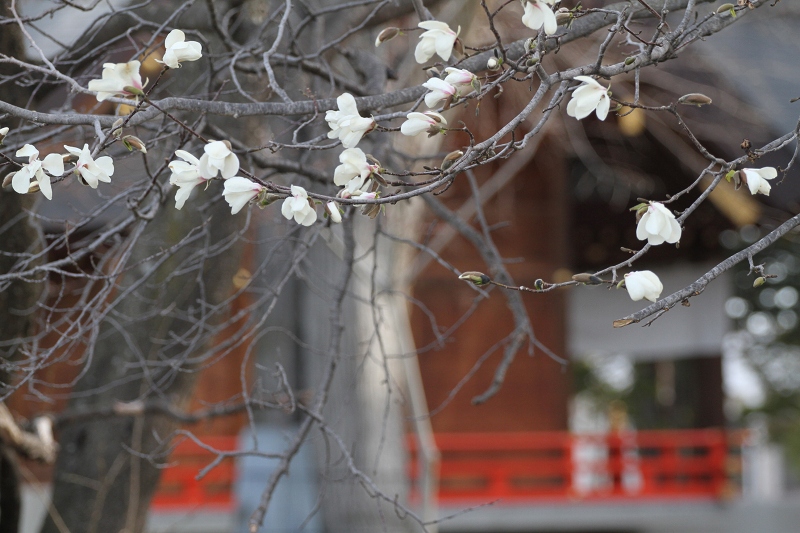 ファイル 65-5.jpg