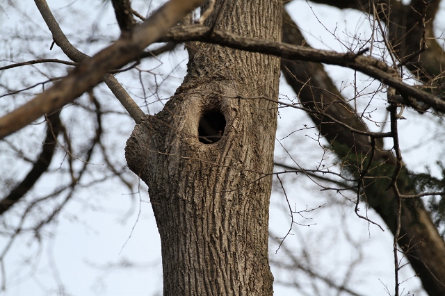 ファイル 65-6.jpg