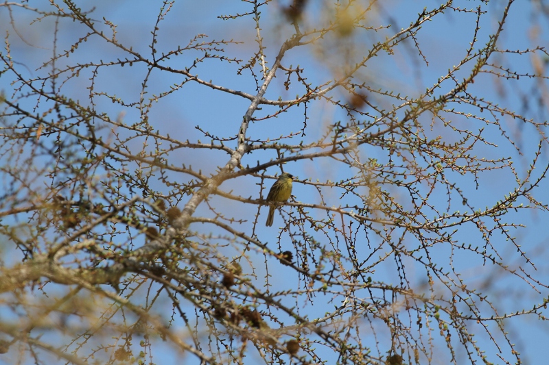 ファイル 68-1.jpg