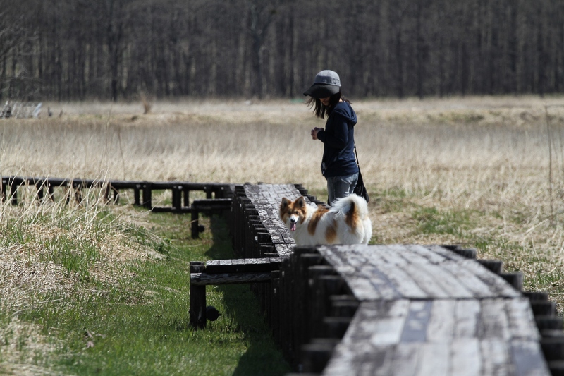 ファイル 68-2.jpg