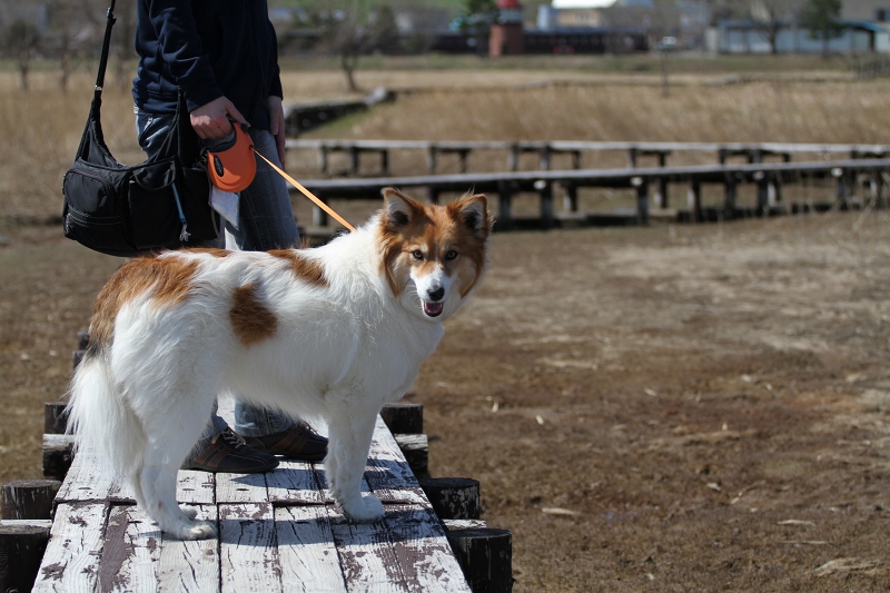 ファイル 68-3.jpg