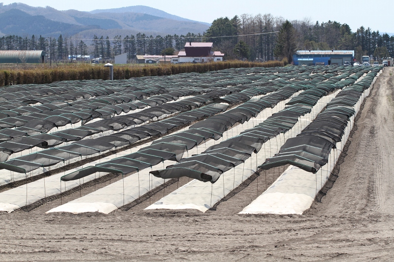 ファイル 68-6.jpg