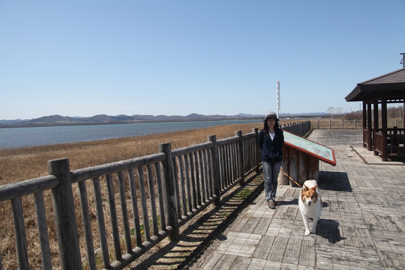 ファイル 68-7.jpg