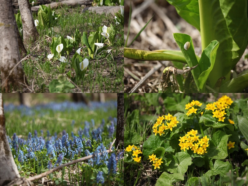 ファイル 70-3.jpg