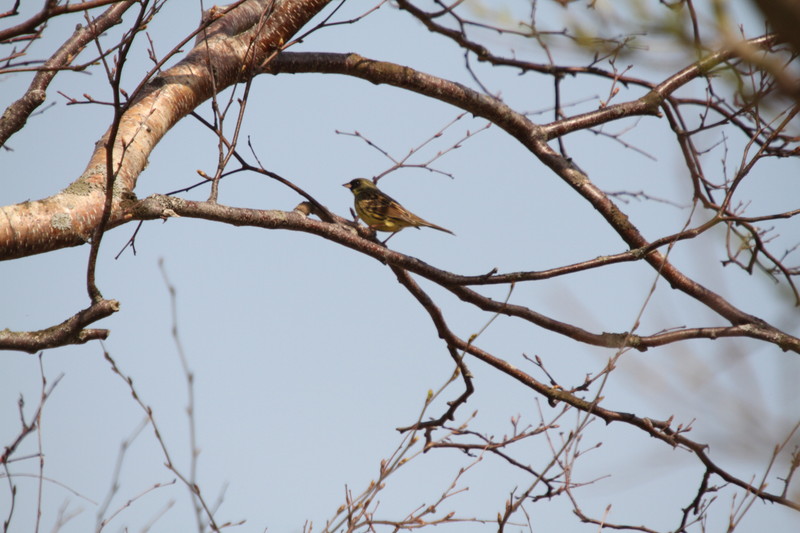 ファイル 70-4.jpg