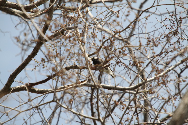 ファイル 70-8.jpg