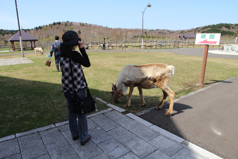 ファイル 75-1.jpg