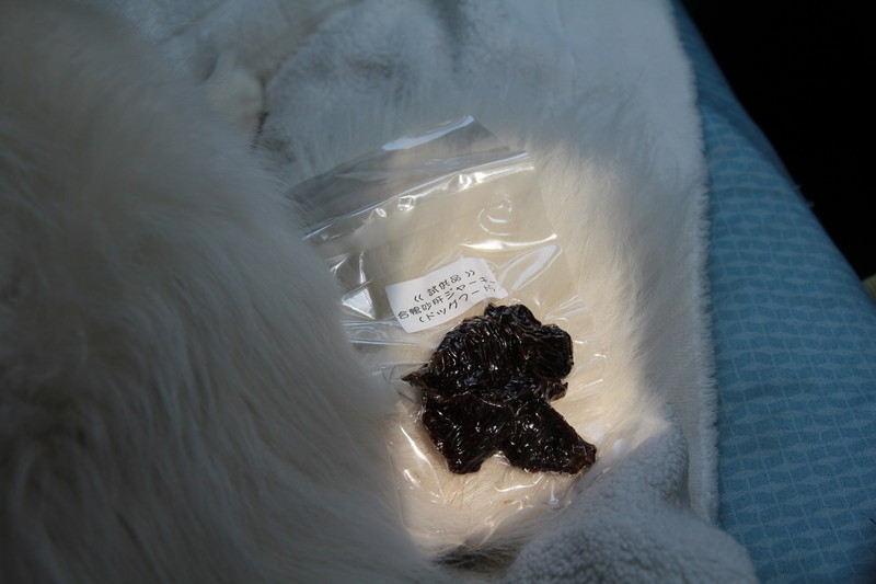 ファイル 75-2.jpg