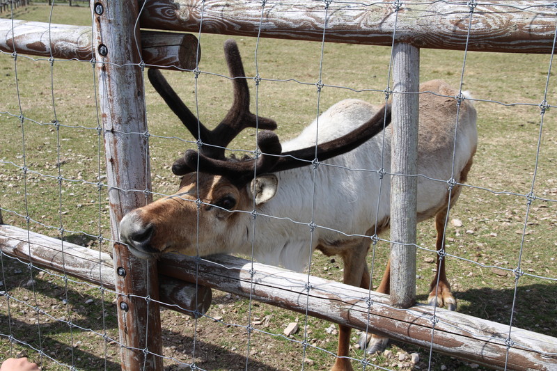 ファイル 75-3.jpg