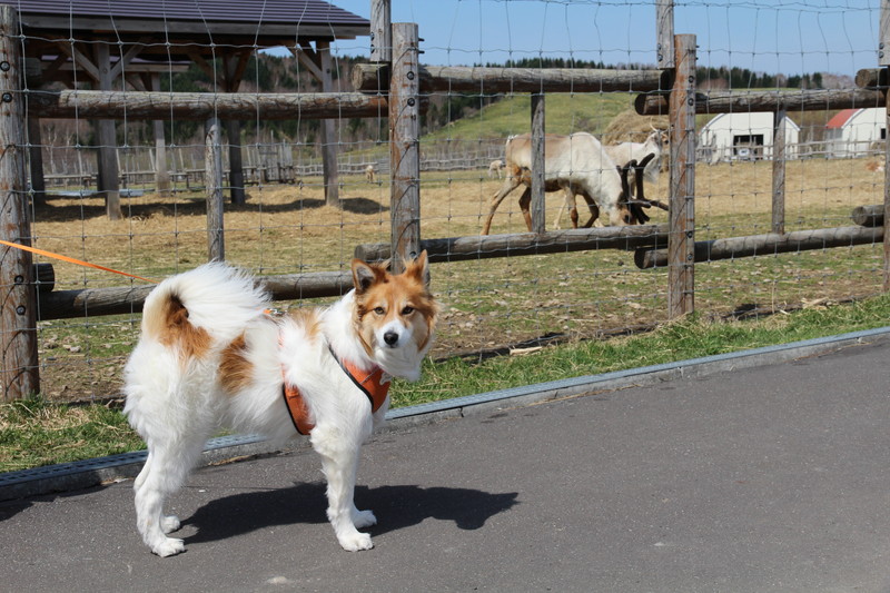 ファイル 75-4.jpg