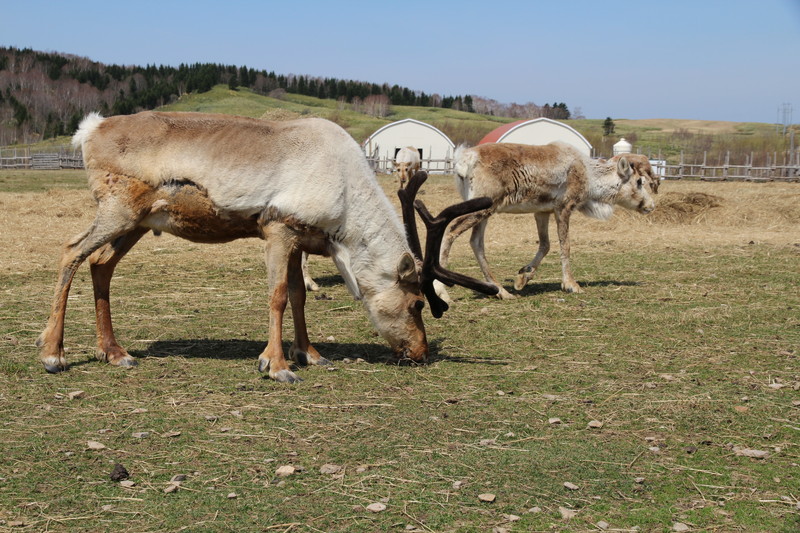 ファイル 75-5.jpg