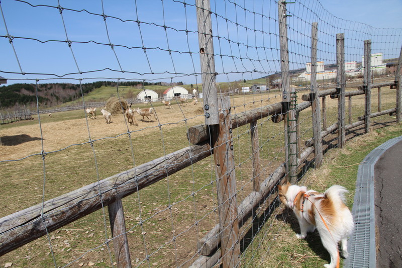 ファイル 75-6.jpg