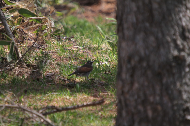 ファイル 77-9.jpg