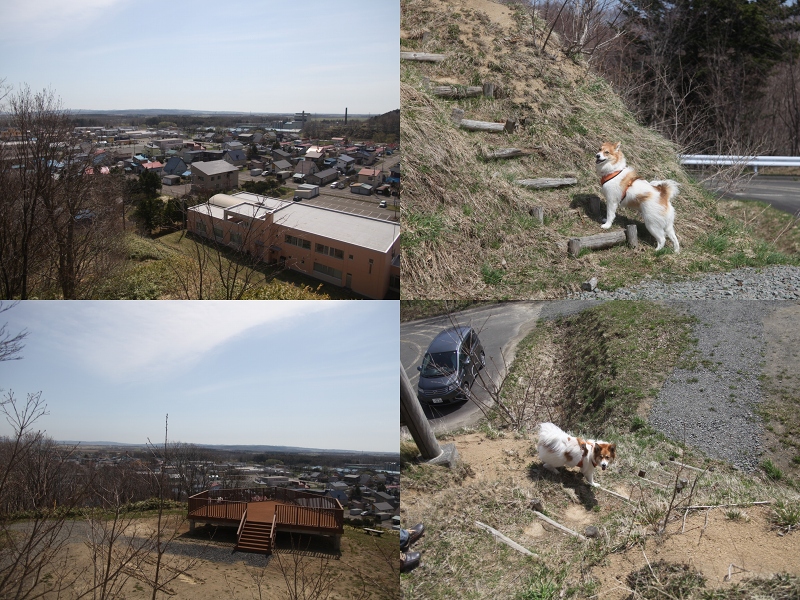 ファイル 79-2.jpg