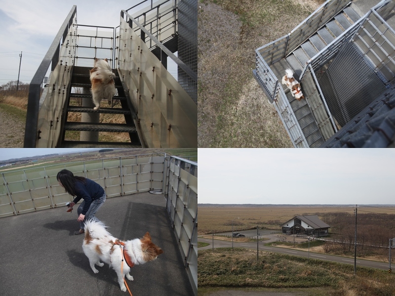 ファイル 79-4.jpg