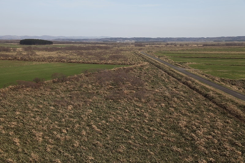 ファイル 79-5.jpg