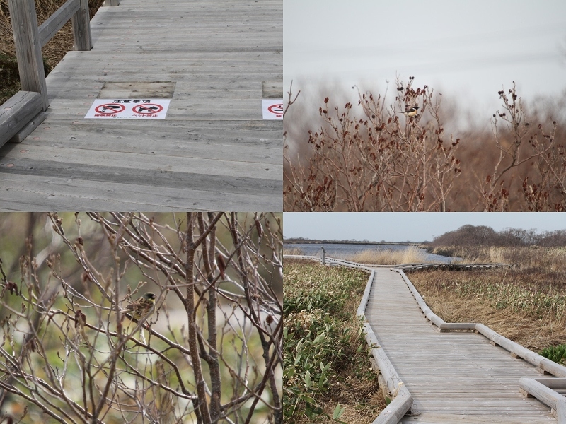 ファイル 79-8.jpg