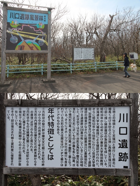 ファイル 80-1.jpg