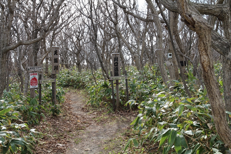 ファイル 80-2.jpg