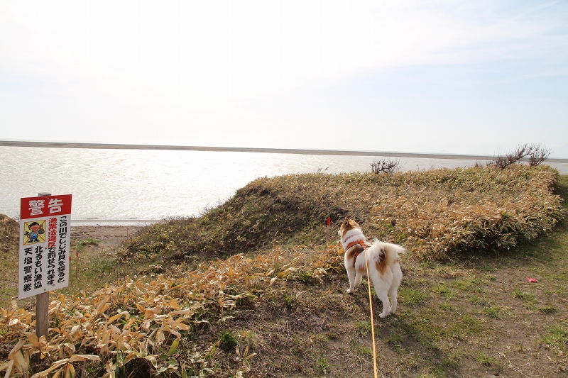 ファイル 80-3.jpg