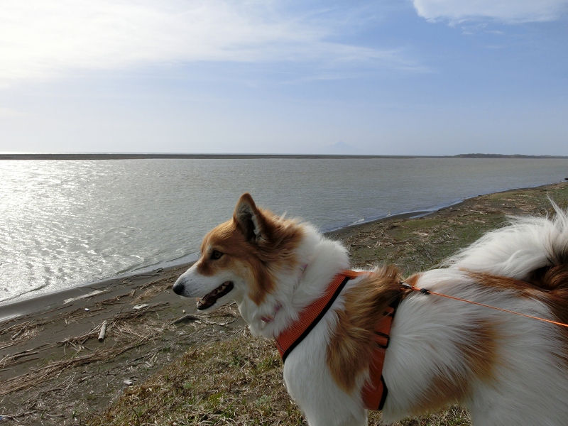 ファイル 80-4.jpg