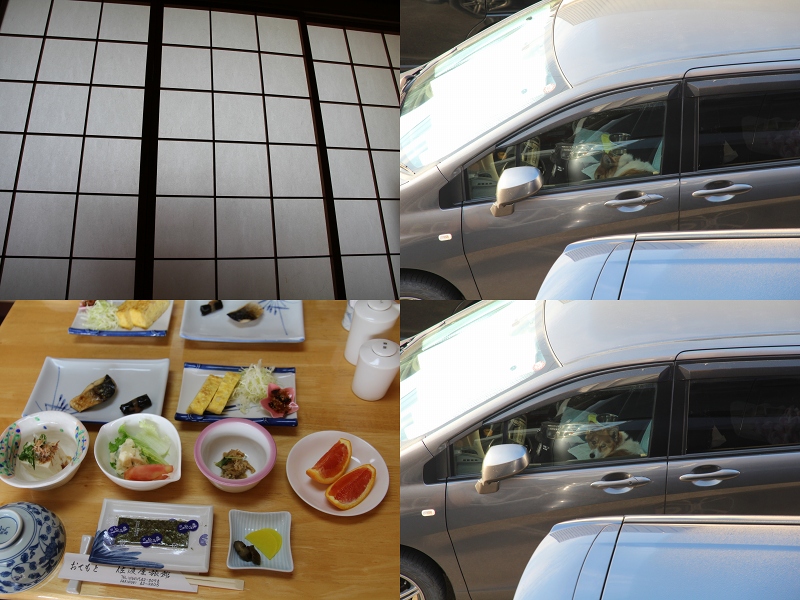 ファイル 81-1.jpg