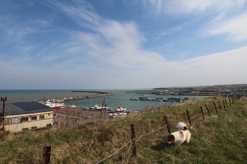 ファイル 81-2.jpg