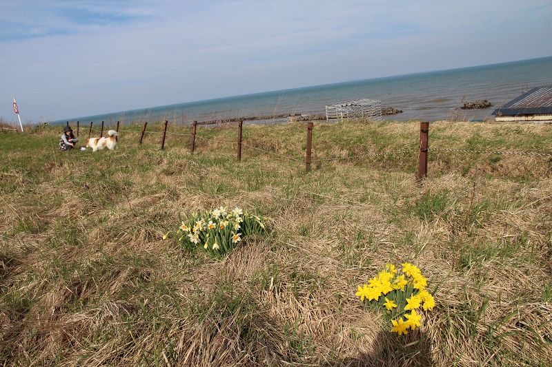 ファイル 81-3.jpg