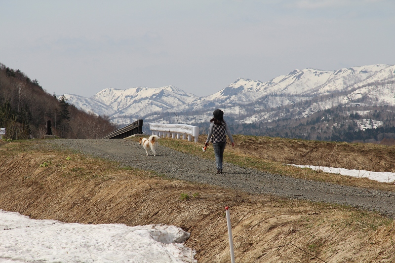 ファイル 81-6.jpg