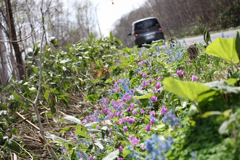 ファイル 82-1.jpg