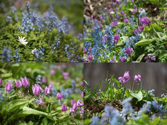 ファイル 82-2.jpg