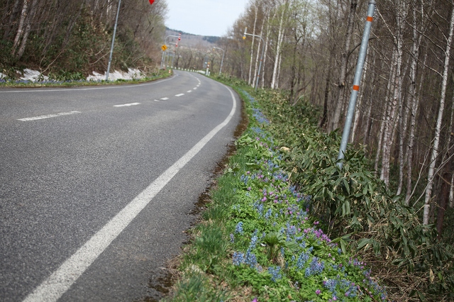 ファイル 82-3.jpg