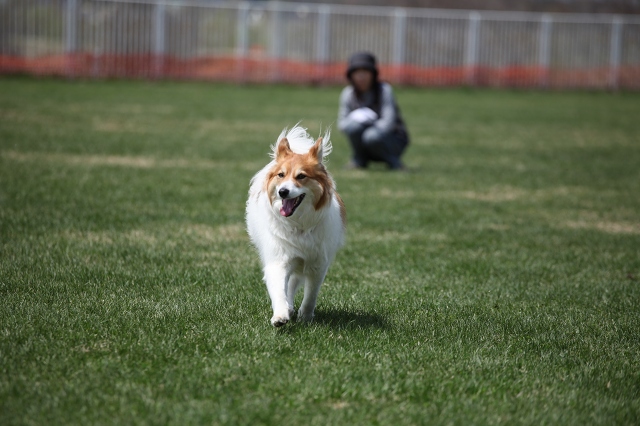 ファイル 82-5.jpg