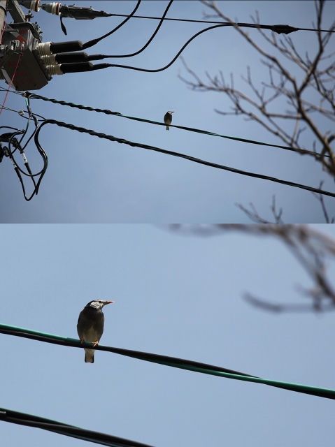 ファイル 82-6.jpg