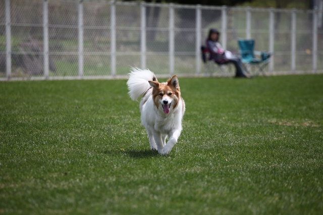 ファイル 82-7.jpg